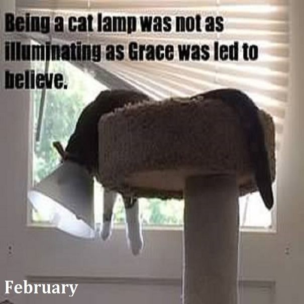 This Is A "Thank You" Calendar For My Friend Sarah, Who Helped Me Get Sober. This Is Her Cat, Grace. This Is A "Thank You" Calendar For My Friend Sarah, Who Helped Me Get Sober. This Is Her Cat, Grace.