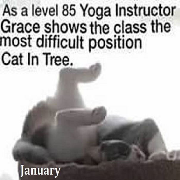 This Is A "Thank You" Calendar For My Friend Sarah, Who Helped Me Get Sober. This Is Her Cat, Grace.