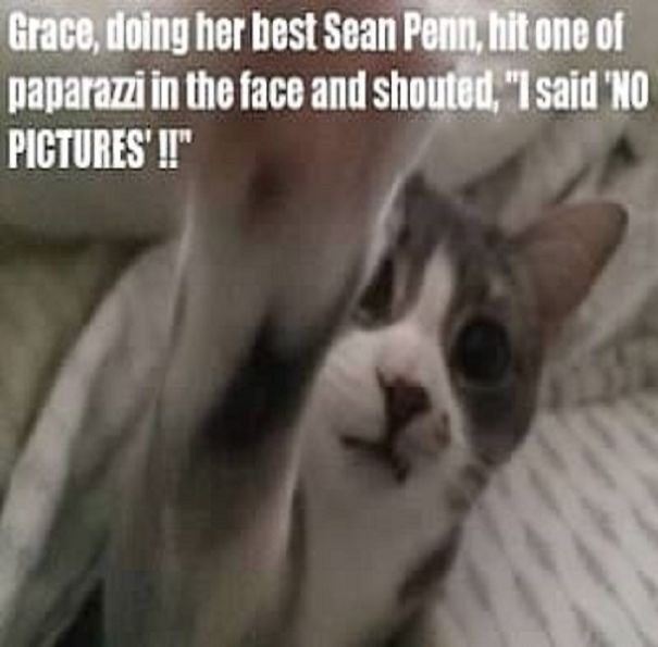 This Is A "Thank You" Calendar For My Friend Sarah, Who Helped Me Get Sober. This Is Her Cat, Grace. This Is A "Thank You" Calendar For My Friend Sarah, Who Helped Me Get Sober. This Is Her Cat, Grace.