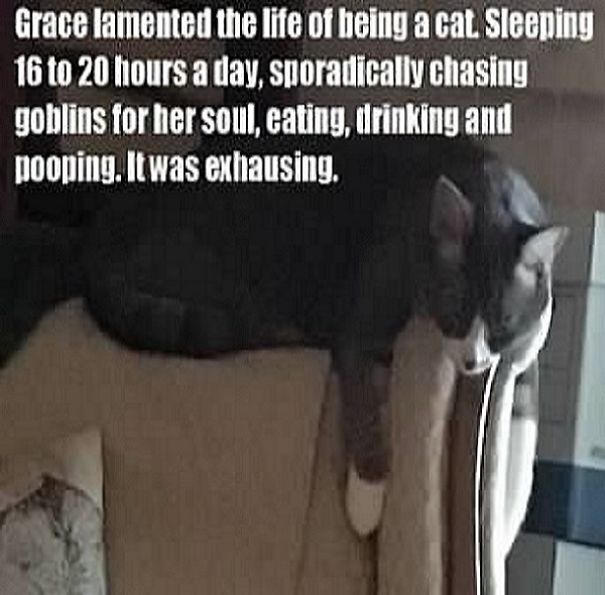 This Is A "Thank You" Calendar For My Friend Sarah, Who Helped Me Get Sober. This Is Her Cat, Grace. This Is A "Thank You" Calendar For My Friend Sarah, Who Helped Me Get Sober. This Is Her Cat, Grace.