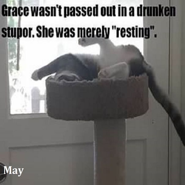This Is A "Thank You" Calendar For My Friend Sarah, Who Helped Me Get Sober. This Is Her Cat, Grace. This Is A "Thank You" Calendar For My Friend Sarah, Who Helped Me Get Sober. This Is Her Cat, Grace.