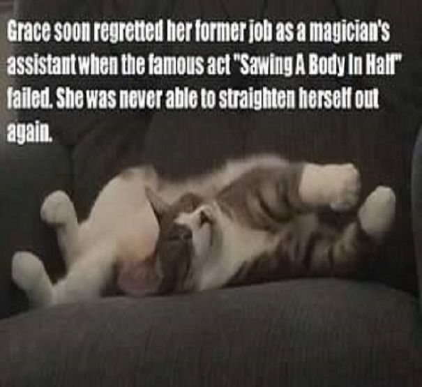 This Is A "Thank You" Calendar For My Friend Sarah, Who Helped Me Get Sober. This Is Her Cat, Grace.