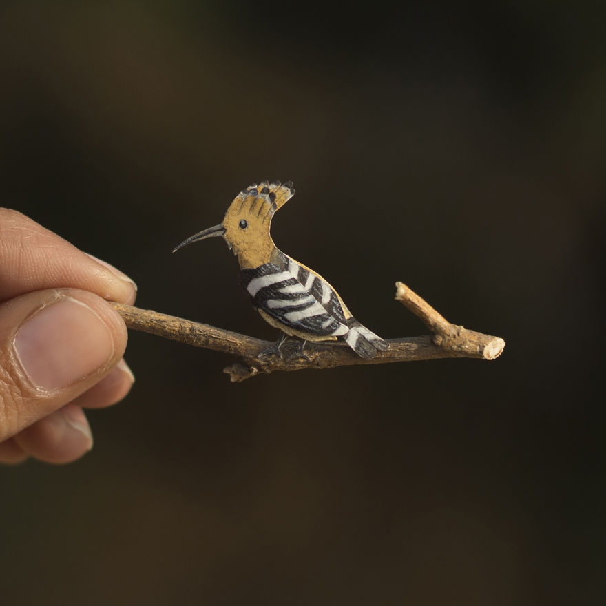 Hoopoe