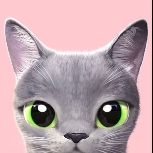 tessabradley_1 avatar