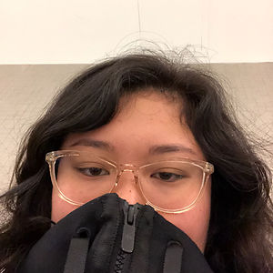 zerinamarie_bermudez avatar