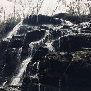 eliseebarrett avatar