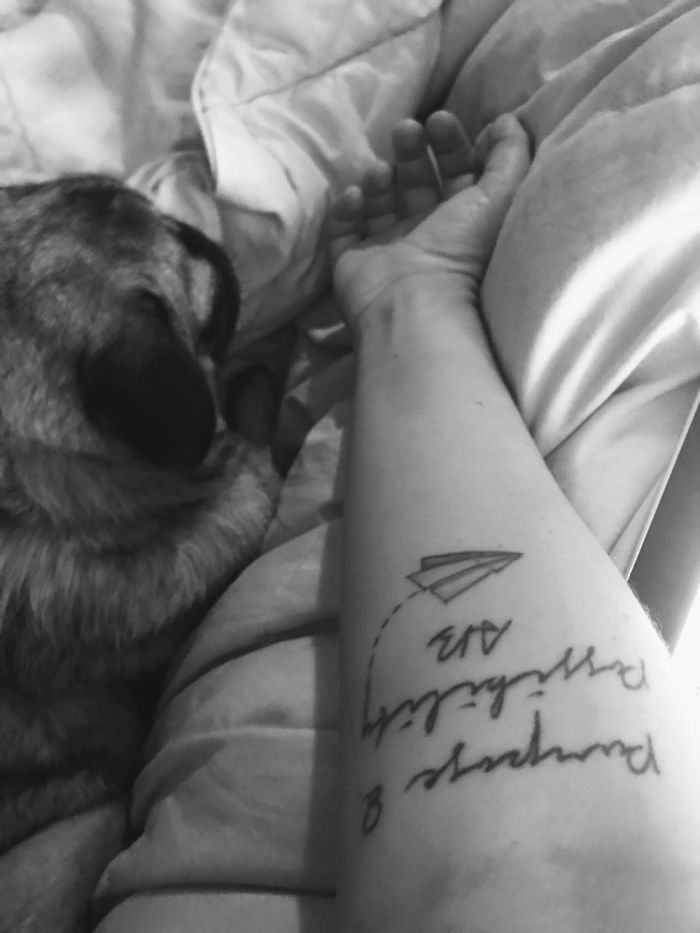 Tattoo of a paper airplane and phrase on an arm, with a dog resting nearby.