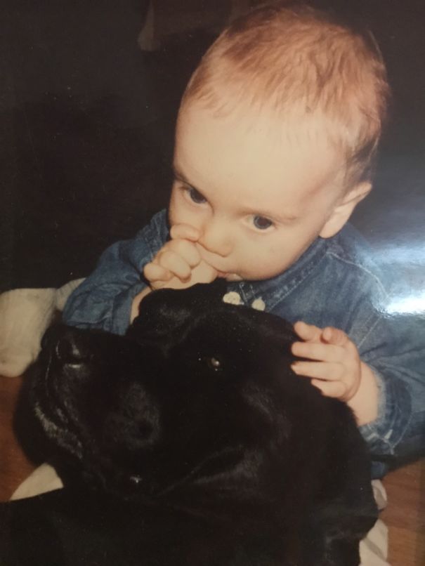 Liked The Wing Of A Stuffed Penguin Under His Nose. Dog Ear... Penguin Wing... Same Thing