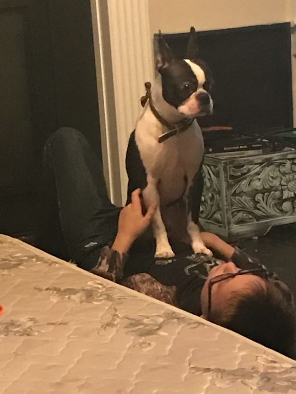 My Son And His Best Friend