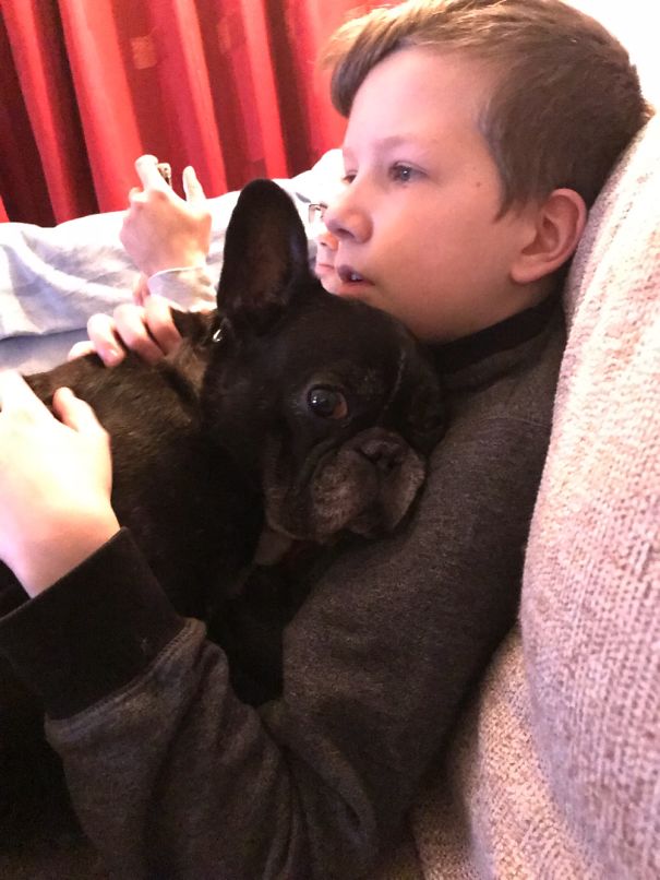 Our Dog Was Happy That His Best Friend Was Home Again ..