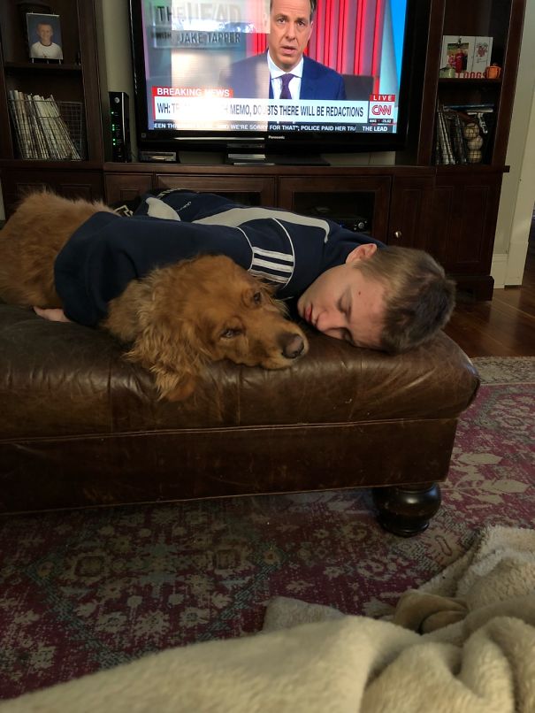 My Son Home From School, Sick. Scout Comforting Him.