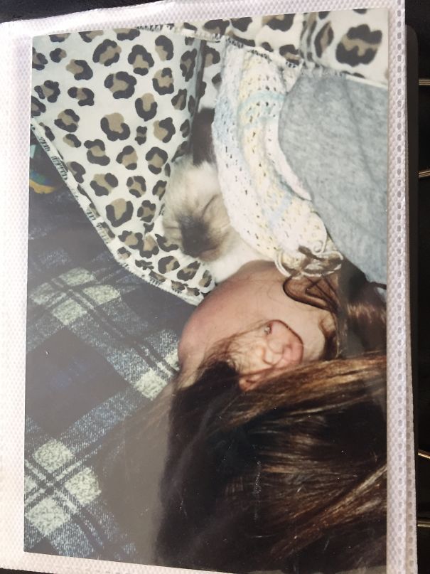 How He Slept Till The Day He Dies (Which Was Two Years Ago)