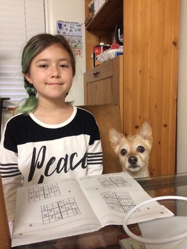 Just Your Average Duo Doing The Nightly Sudoku.