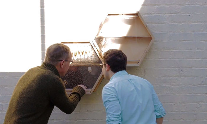 Genius Company Installs Beehives In Your Living Room, And Here's How It Works Genius Company Installs Beehives In Your Living Room, And Here's How It Works