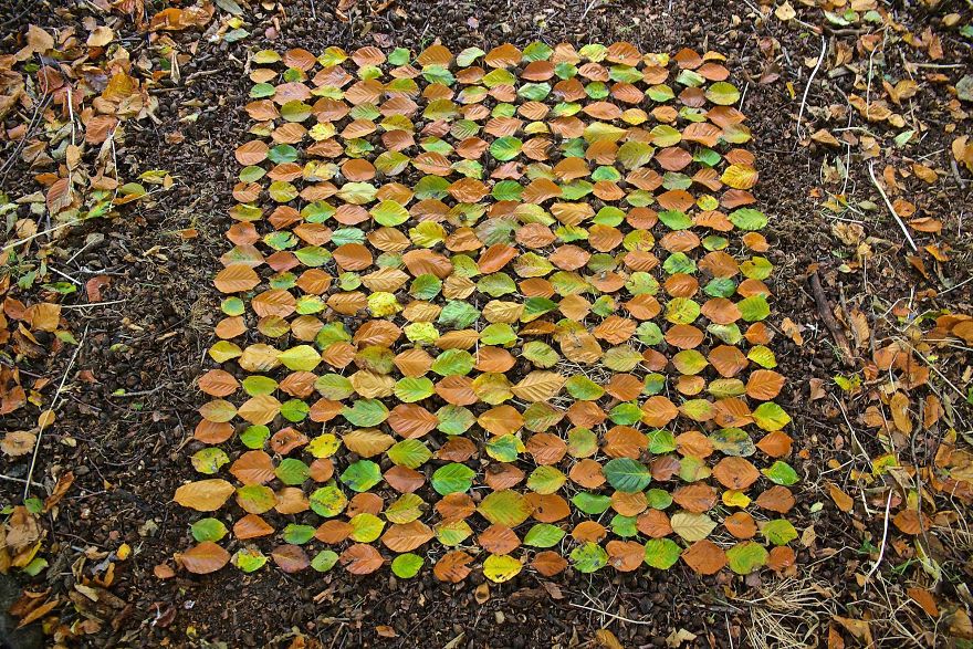 James-Brunt-Natural-Materials-Land-Art-England