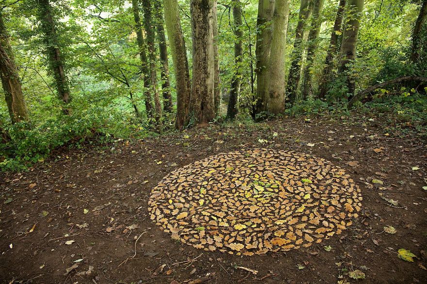 James-Brunt-Natural-Materials-Land-Art-England