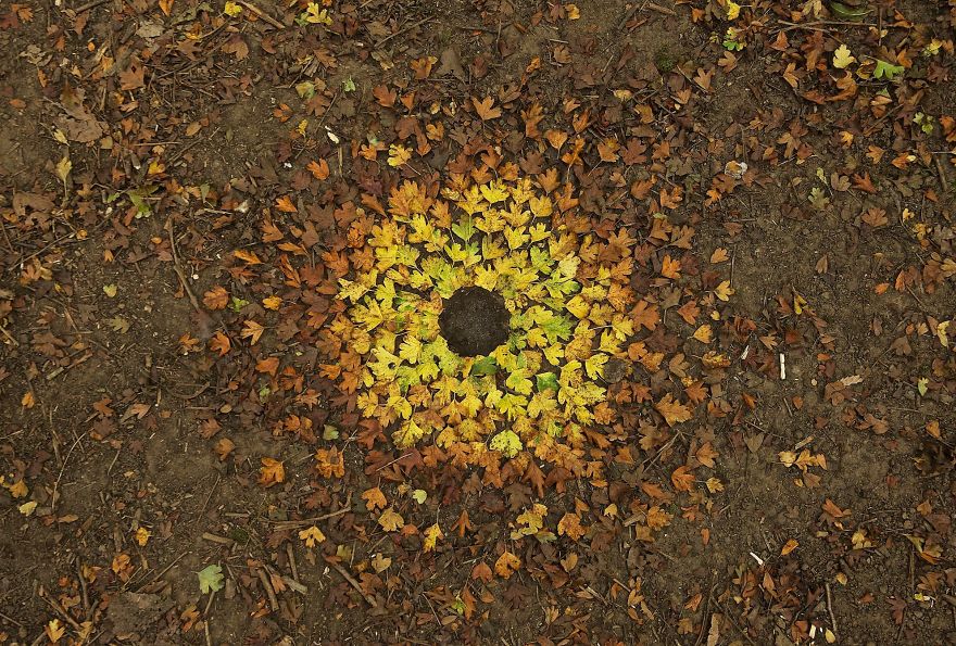 James-Brunt-Natural-Materials-Land-Art-England