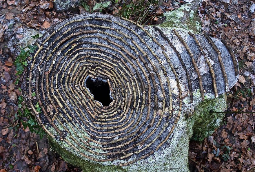 James-Brunt-Natural-Materials-Land-Art-England