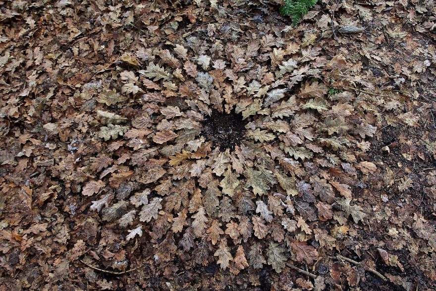 James-Brunt-Natural-Materials-Land-Art-England