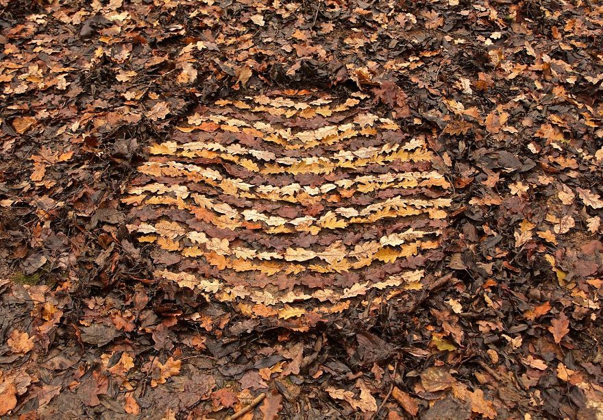 James-Brunt-Natural-Materials-Land-Art-England