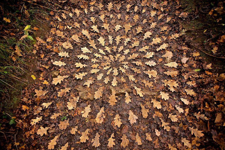 James-Brunt-Natural-Materials-Land-Art-England