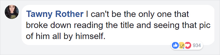 lonely-library-greyhound-dog-kids-read-stories-john-muellner-22