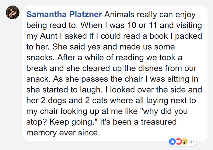 lonely-library-greyhound-dog-kids-read-stories-john-muellner-27 lonely-library-greyhound-dog-kids-read-stories-john-muellner-27