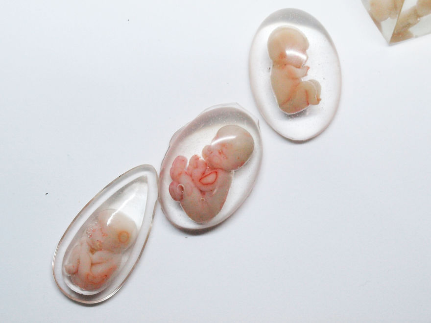 Preserved Life Resin Project I`m Working On Preserved Life Resin Project I`m Working On