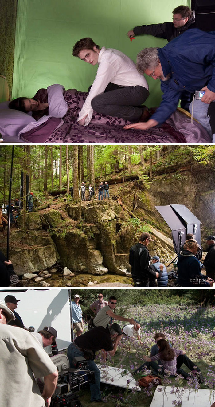 The Twilight Saga (2008-2012)