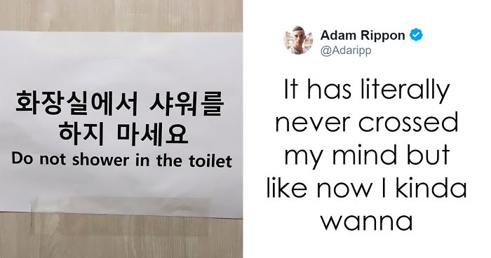 30 Times Olympic Figure Skater Adam Rippon Should Have Won A Medal For His Epic Tweets