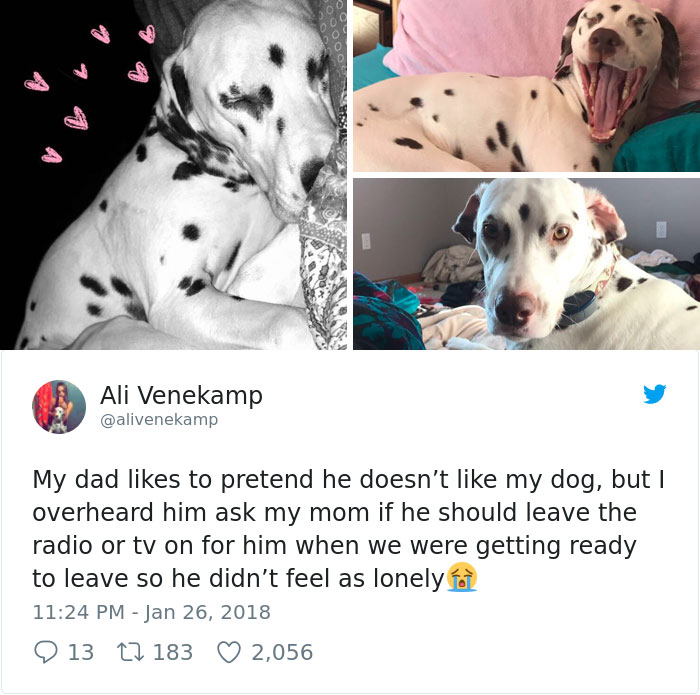 Overheard-Conversations-Tweets