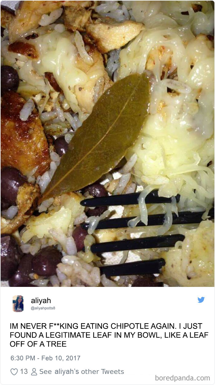 people-surprised-find-leaves-food-chipotletweets-4