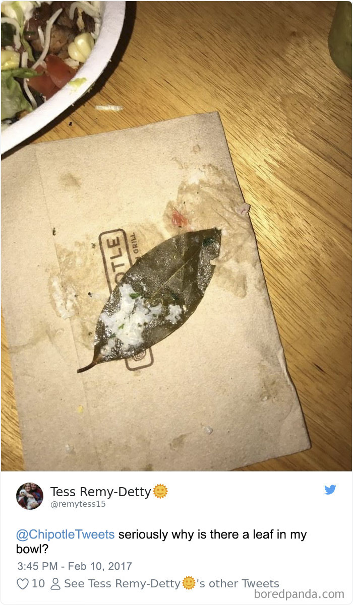 people-surprised-find-leaves-food-chipotletweets-5
