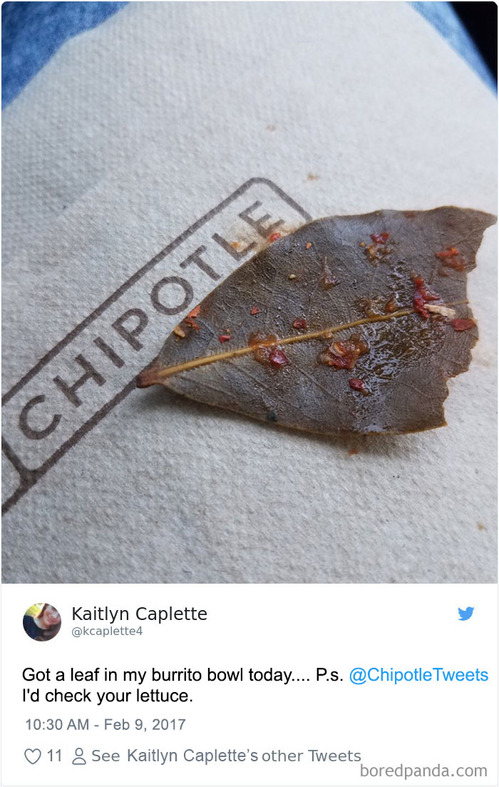 people-surprised-find-leaves-food-chipotletweets-7 people-surprised-find-leaves-food-chipotletweets-7