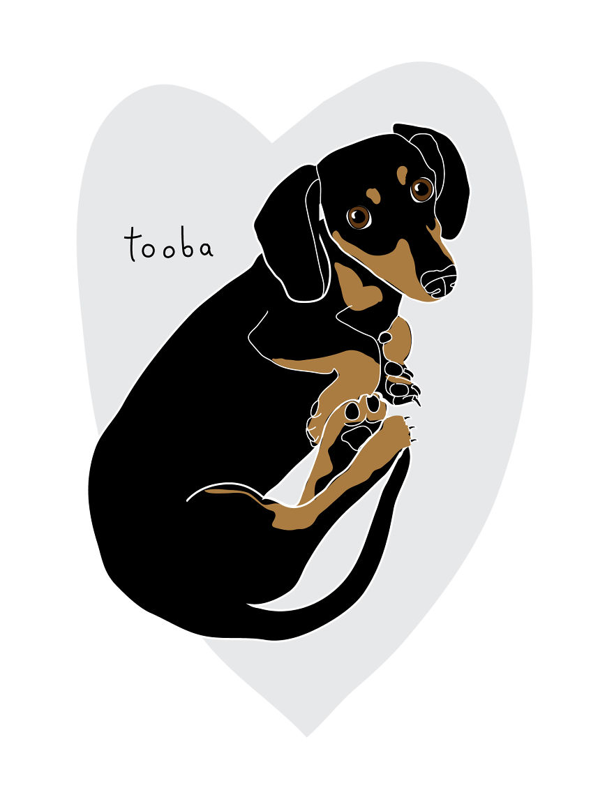 I Make Ridiculously Cute Pet Portraits