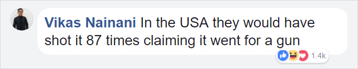 People Are Laughing At Armed Cops Who Had Almost Hour Long Standoff With Tiger Before Realizing It’s A Toy People Are Laughing At Armed Cops Who Had Almost Hour Long Standoff With Tiger Before Realizing It’s A Toy