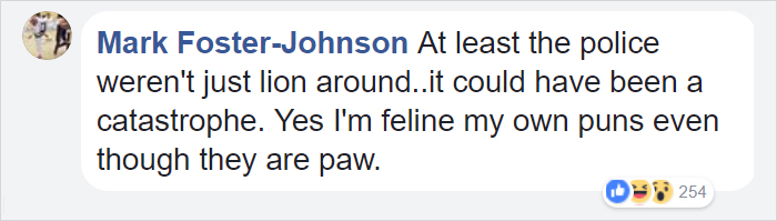 People Are Laughing At Armed Cops Who Had Almost Hour Long Standoff With Tiger Before Realizing It’s A Toy People Are Laughing At Armed Cops Who Had Almost Hour Long Standoff With Tiger Before Realizing It’s A Toy