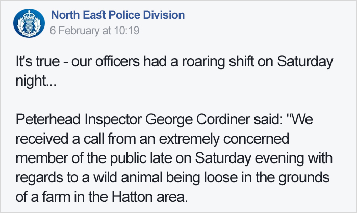 People Are Laughing At Armed Cops Who Had Almost Hour Long Standoff With Tiger Before Realizing It’s A Toy People Are Laughing At Armed Cops Who Had Almost Hour Long Standoff With Tiger Before Realizing It’s A Toy