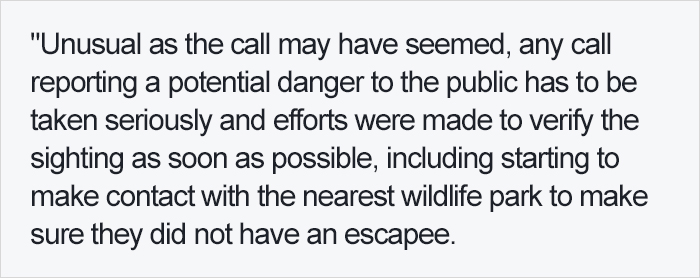 People Are Laughing At Armed Cops Who Had Almost Hour Long Standoff With Tiger Before Realizing It’s A Toy People Are Laughing At Armed Cops Who Had Almost Hour Long Standoff With Tiger Before Realizing It’s A Toy