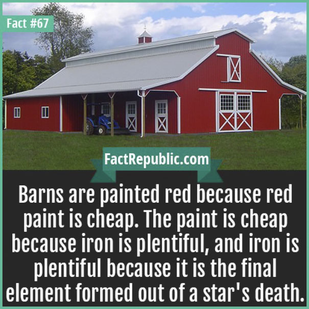 Rare-Everyday-Life-Facts-Republic
