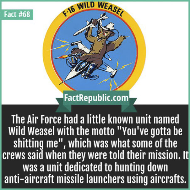 Rare-Everyday-Life-Facts-Republic