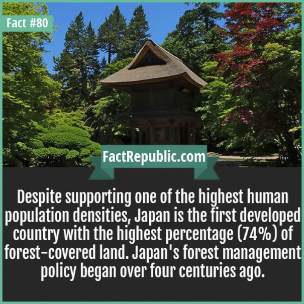 Rare-Everyday-Life-Facts-Republic