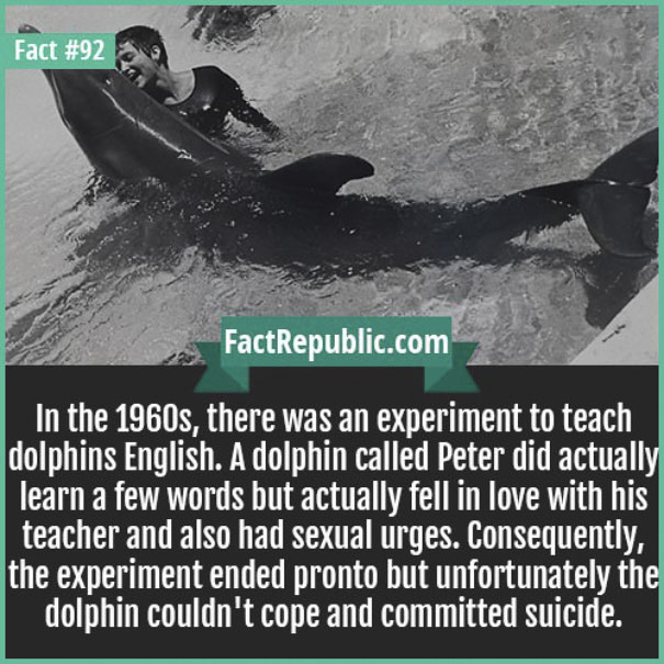 Rare-Everyday-Life-Facts-Republic