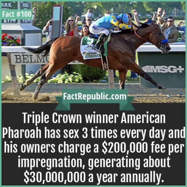 Rare-Everyday-Life-Facts-Republic