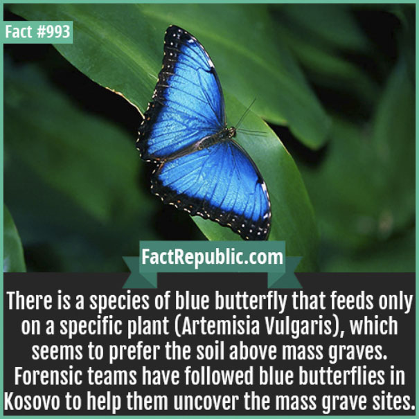Rare-Everyday-Life-Facts-Republic