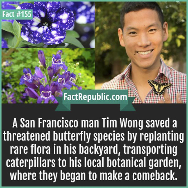 Rare-Everyday-Life-Facts-Republic