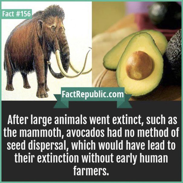 Rare-Everyday-Life-Facts-Republic