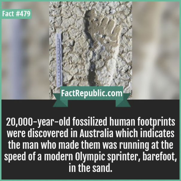 Rare-Everyday-Life-Facts-Republic