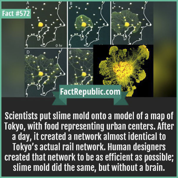 Rare-Everyday-Life-Facts-Republic