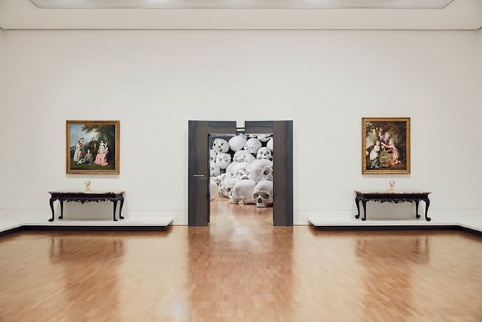 100 Of The Largest Skulls You Have Ever Seen Goes On Display In Australia